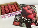 夢ひかり