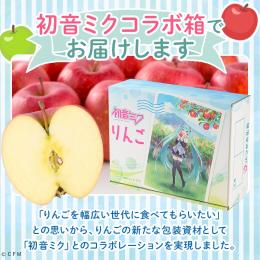 サンふじ 約3㎏ 「初音ミク」コラボ箱(9～10玉入り)※2月発送